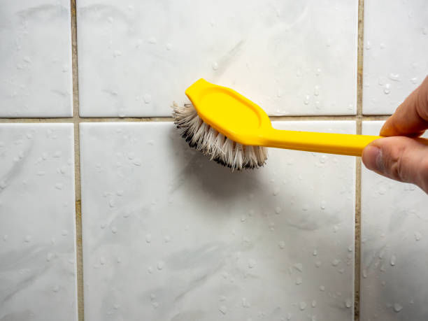 Reliable Grand Blanc, MI Mold Removal Solutions