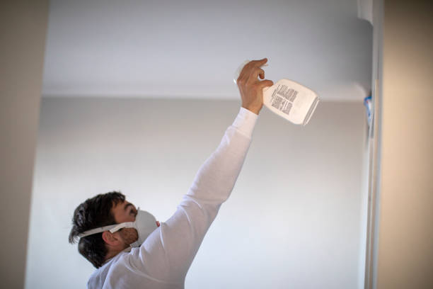 Best Best Mold Removal Companies  in Grand Blanc, MI