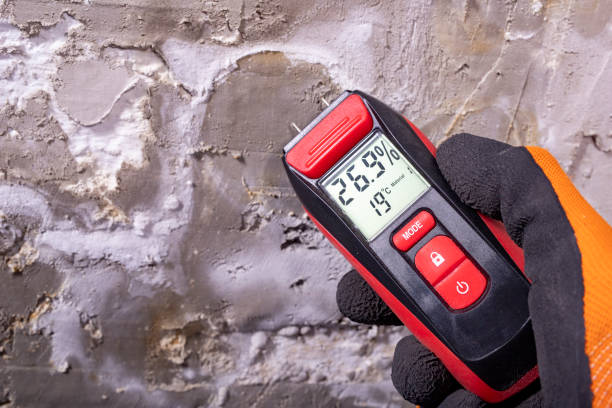 Best Attic Mold Removal  in Grand Blanc, MI